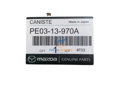 PE0313970A