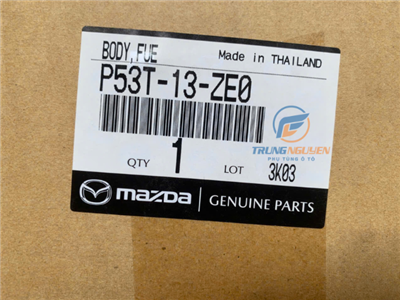 P53T13ZE0