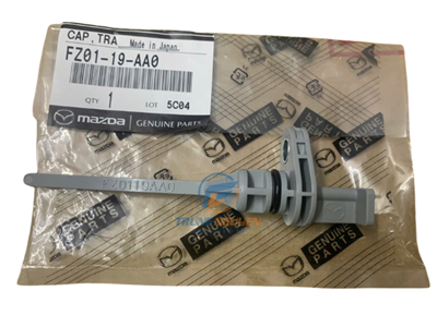 FZ0119AA0