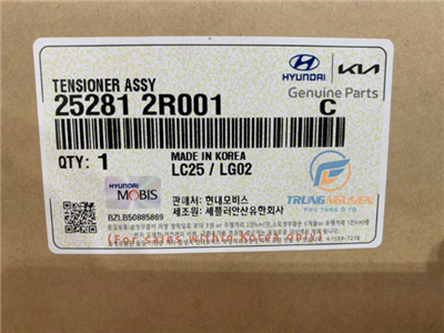 252812R001