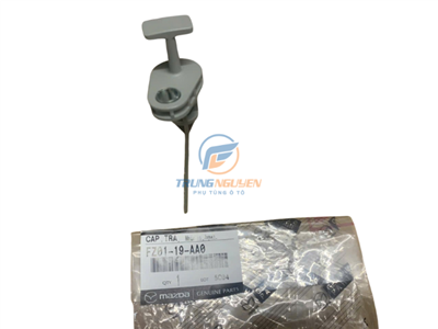 FZ0119AA0