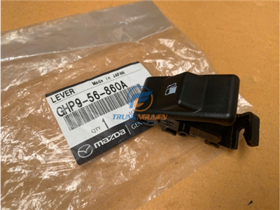 GHP956860A