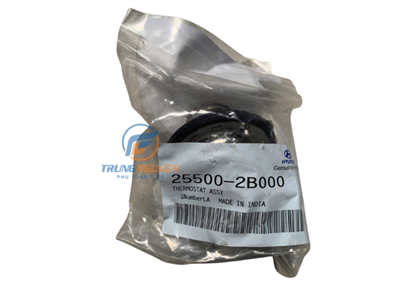 255002B000