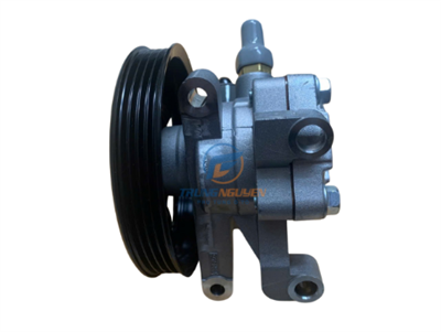 Bơm trợ lực lái - LF2432650