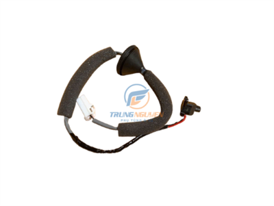 Nút ấn đóng mở cửa tay mở cửa trước trái - TD12594B1