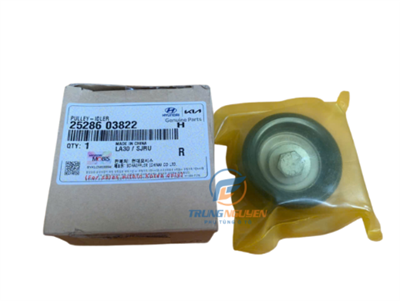 Puly tỳ dây cua roa tổng Carens,Accent,Elantra,Vloster,I30 - 2528603822