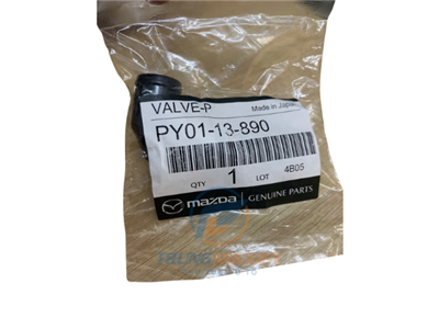 PY0113890