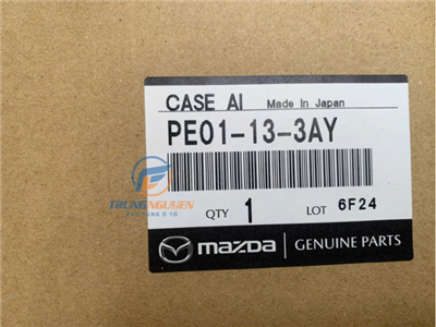 PE01133AY