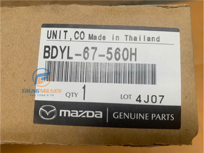 BDYL67560