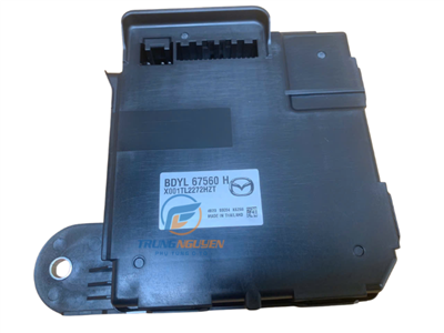 BDYL67560