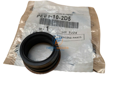 PE01102D5