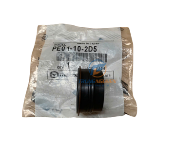 PE01102D5