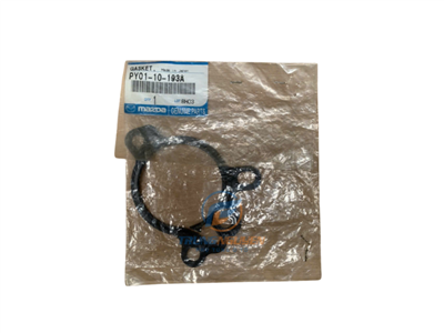 PY0110193A