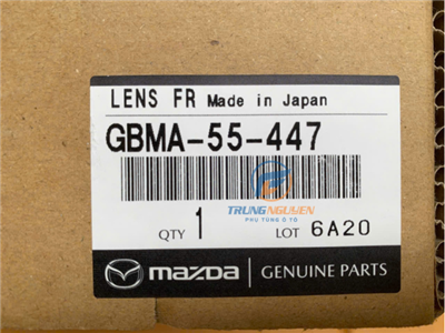 GBMA55447