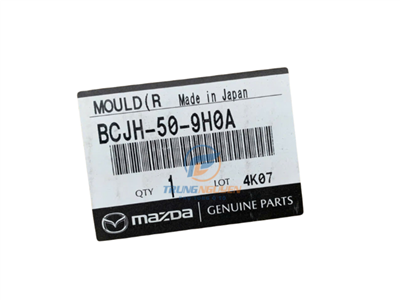BCJH509H0A