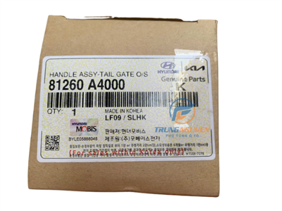 81260A4000