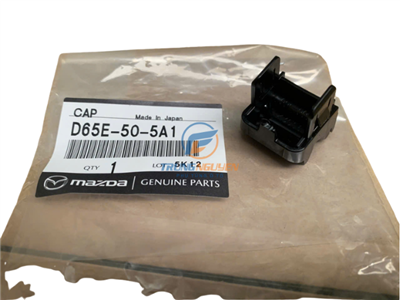 D65E505A1