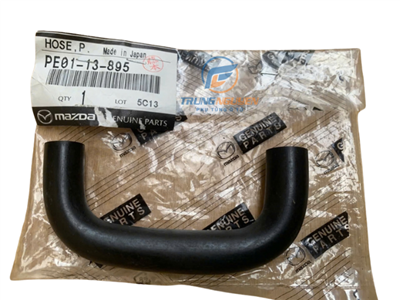 PE0113895