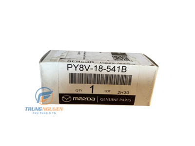 PY8V18541,PY8V18541B