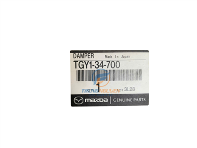 TGY134700